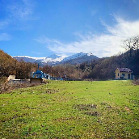 Villa Orka Pelister - Forest Zone Bitola Zewnętrze zdjęcie