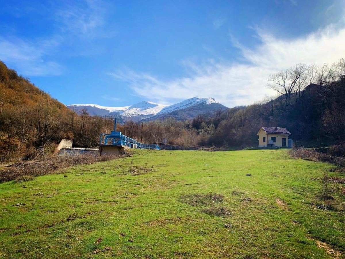 Villa Orka Pelister - Forest Zone Bitola Zewnętrze zdjęcie