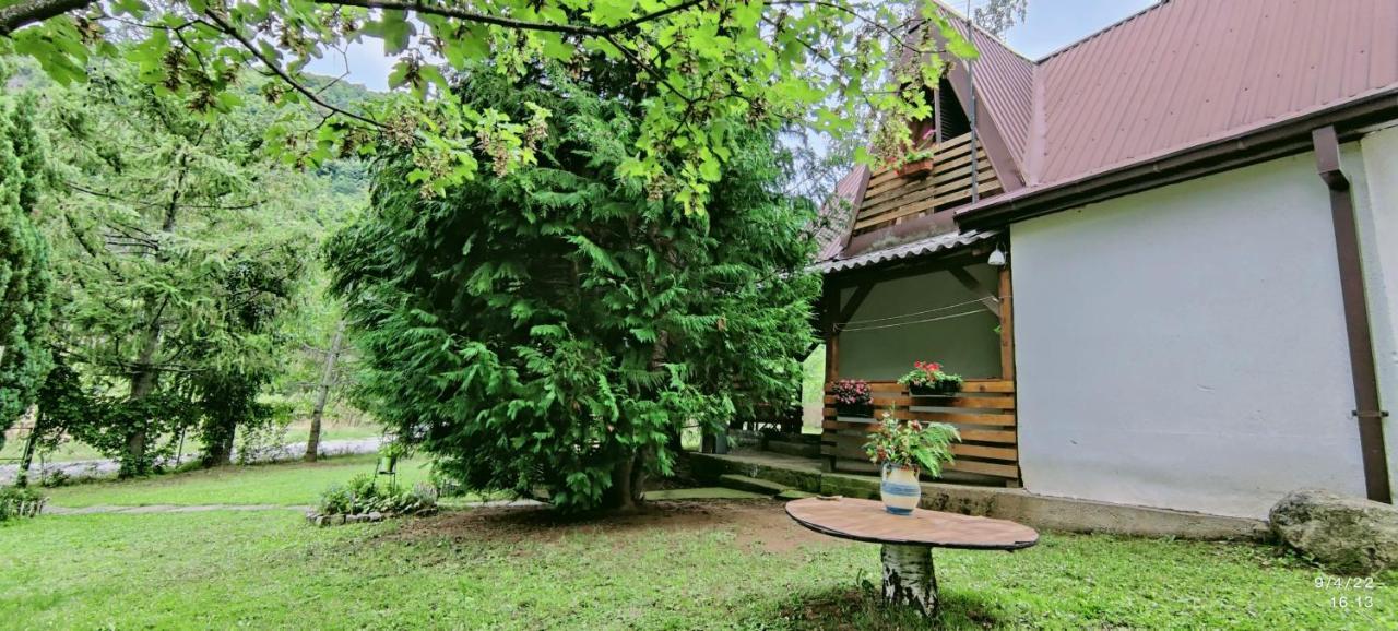 Villa Orka Pelister - Forest Zone Bitola Zewnętrze zdjęcie