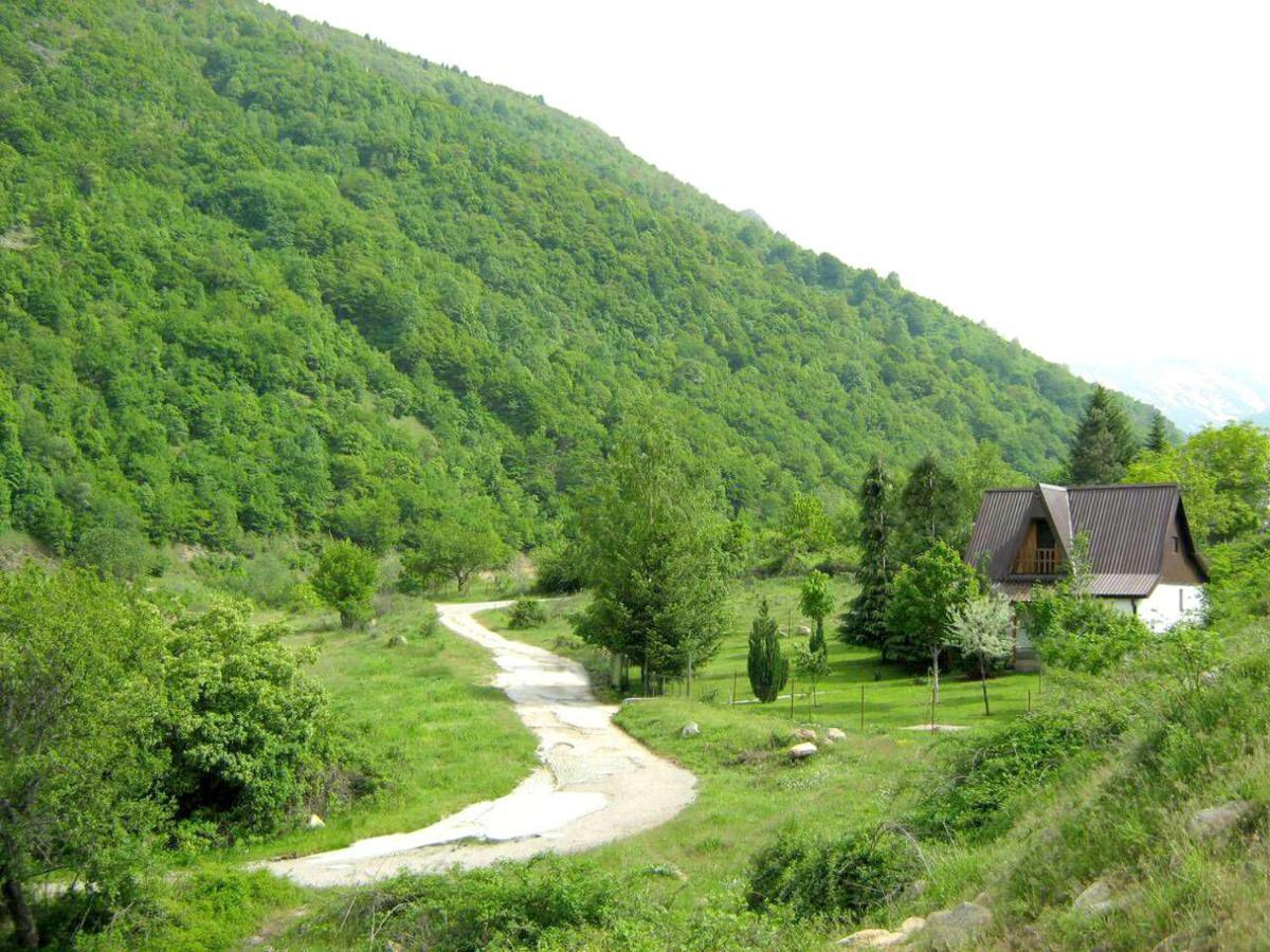 Villa Orka Pelister - Forest Zone Bitola Zewnętrze zdjęcie