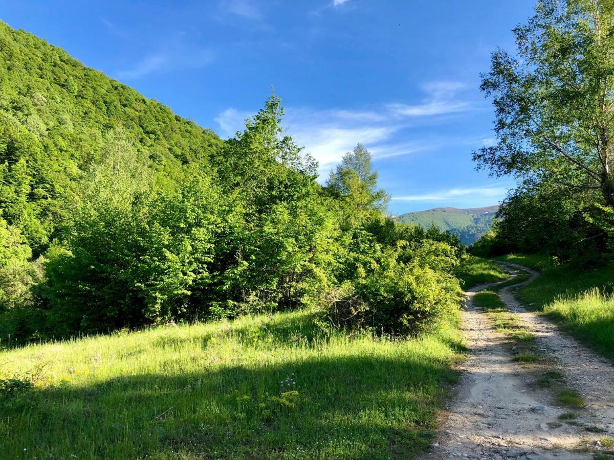 Villa Orka Pelister - Forest Zone Bitola Zewnętrze zdjęcie