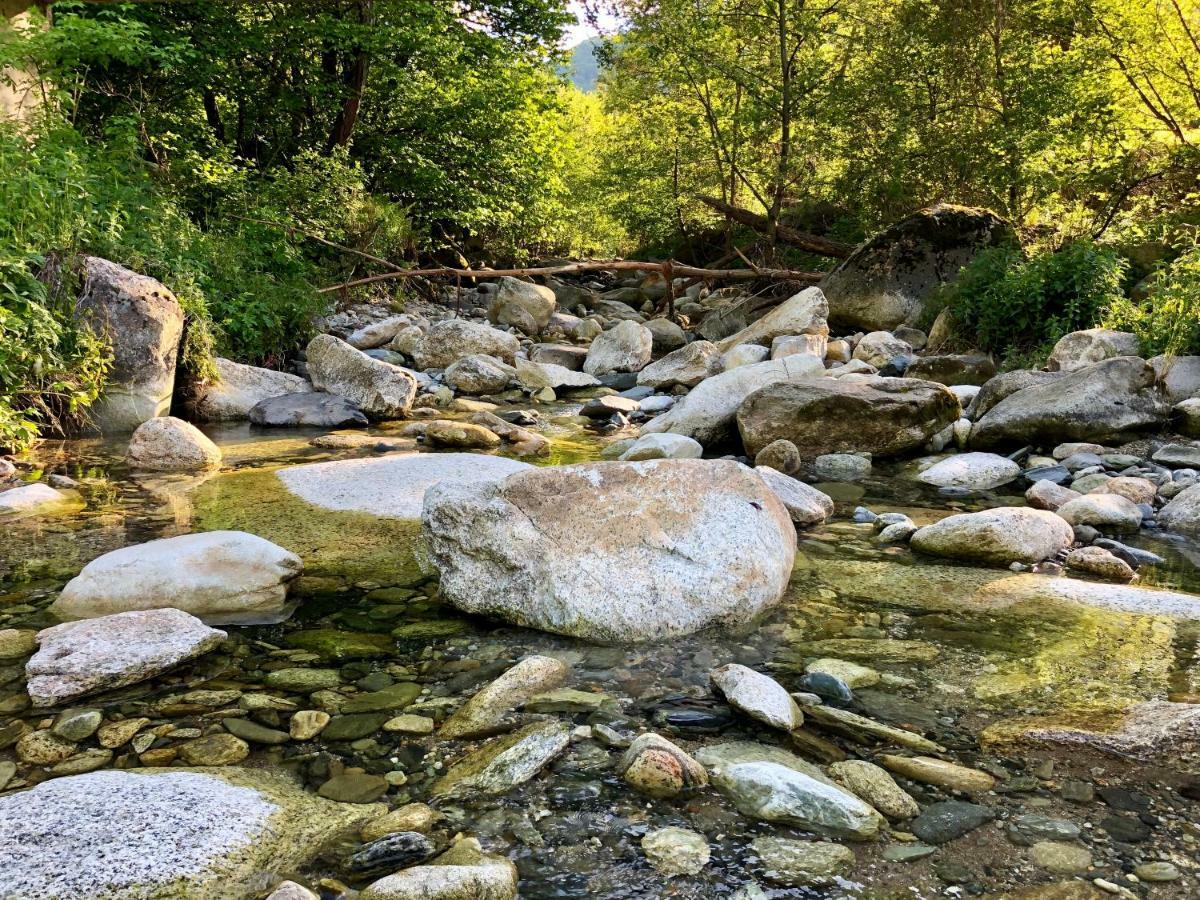 Villa Orka Pelister - Forest Zone Bitola Zewnętrze zdjęcie