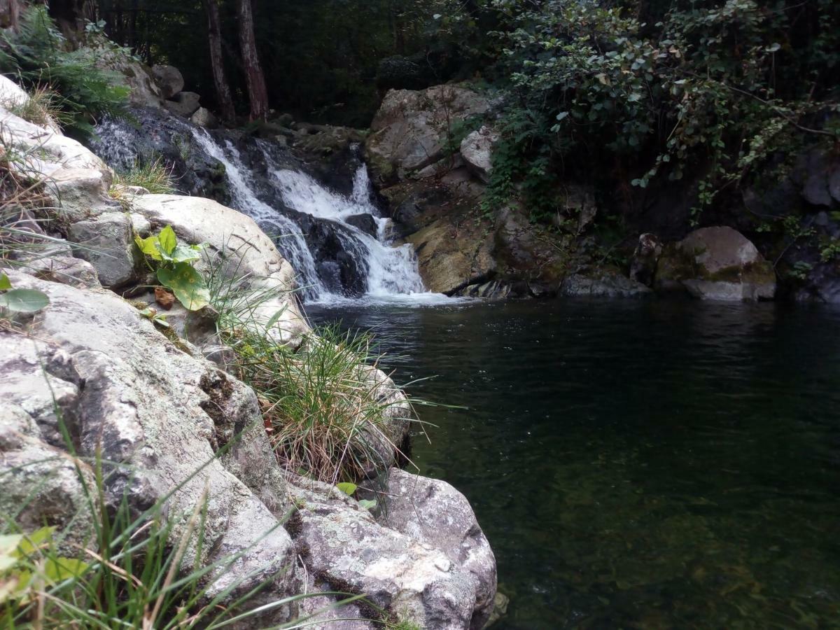 Villa Orka Pelister - Forest Zone Bitola Zewnętrze zdjęcie