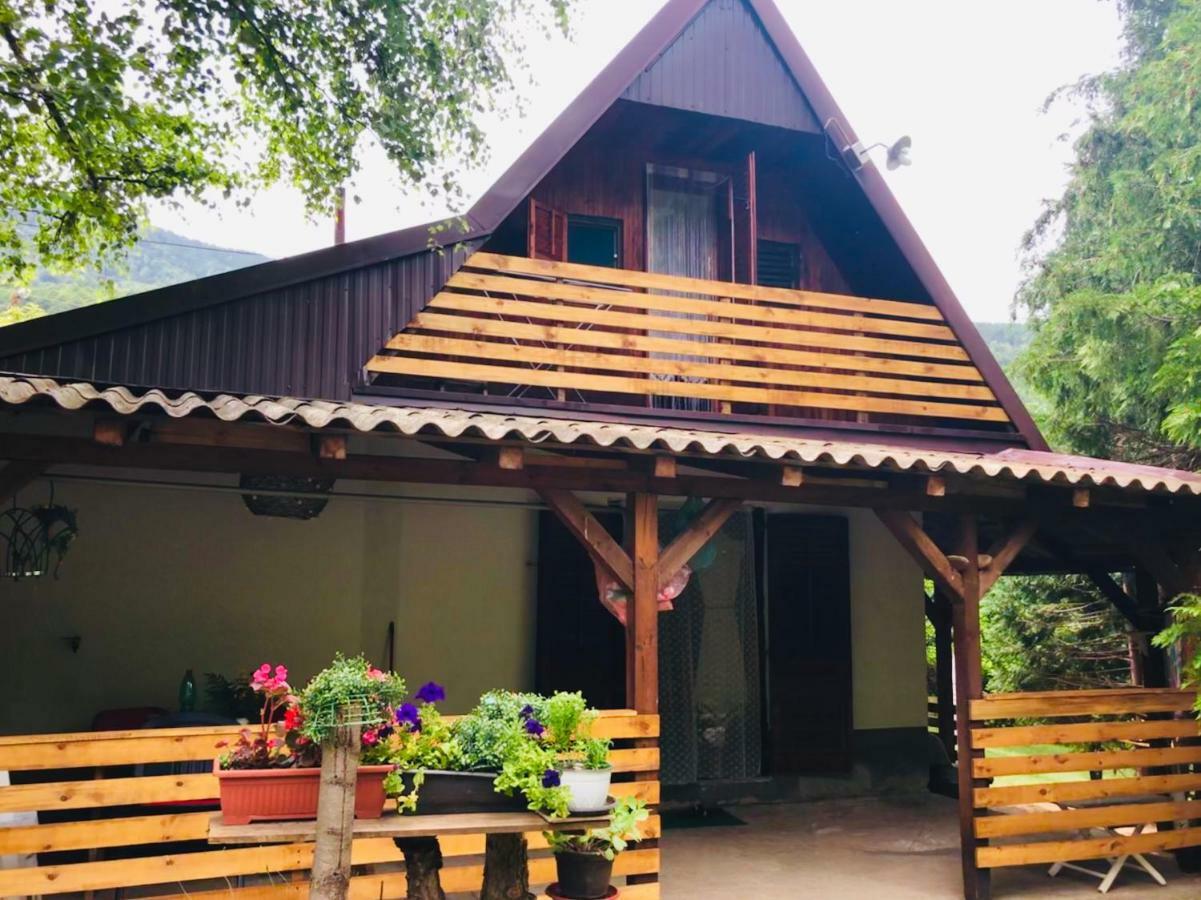 Villa Orka Pelister - Forest Zone Bitola Zewnętrze zdjęcie