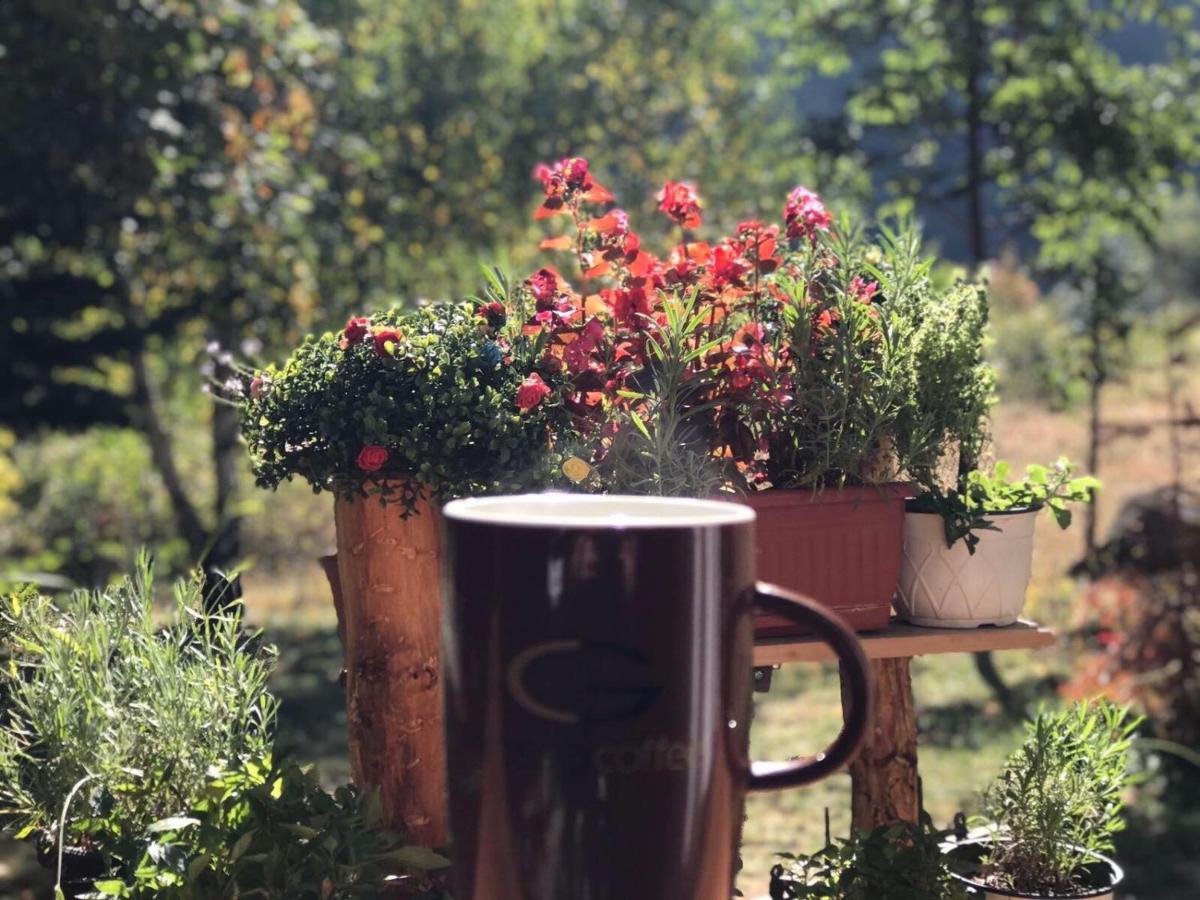 Villa Orka Pelister - Forest Zone Bitola Zewnętrze zdjęcie